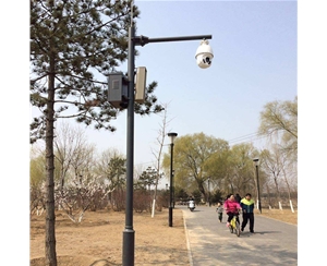 巴音郭楞路灯监控杆-LB-03